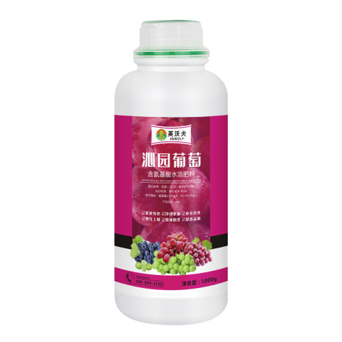 沁园葡萄